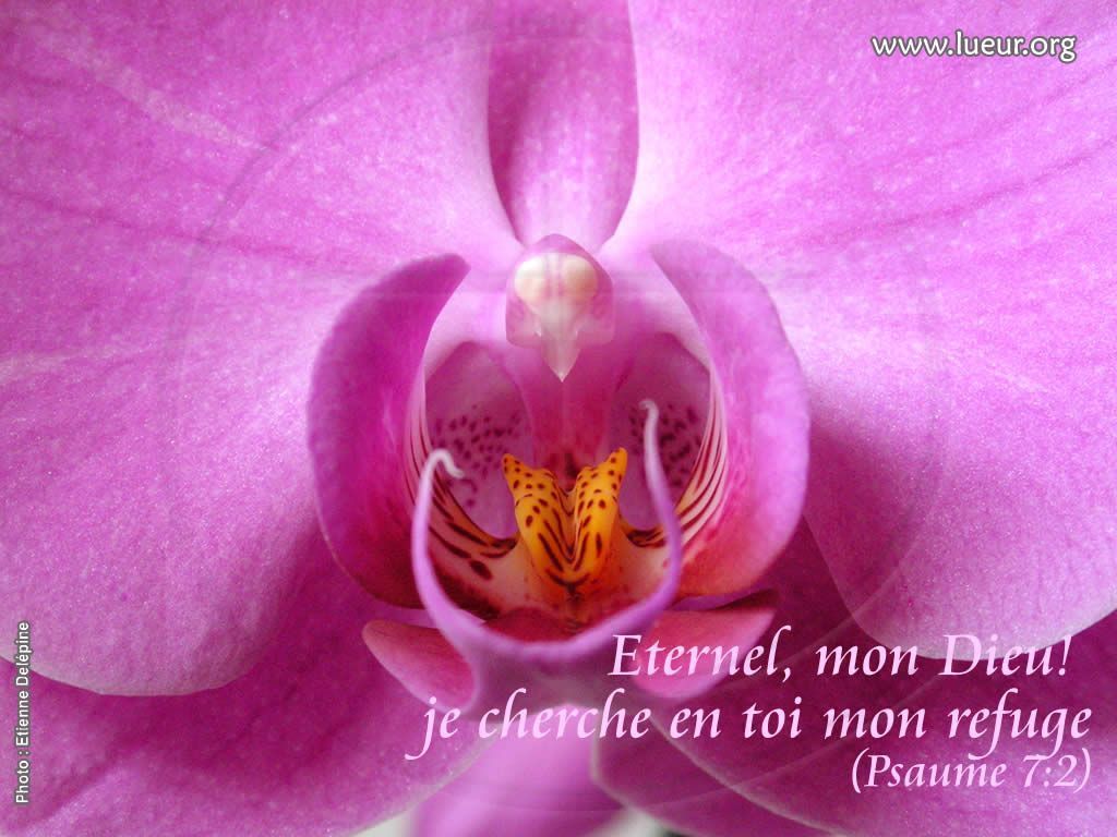 que Dieu vous bénisse